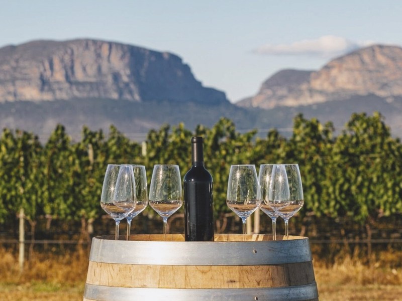 SETOR VINÍCOLA ARGENTINO QUER AUMENTAR PARTICIPAÇÃO NO MERCADO&nbsp;BAIANO